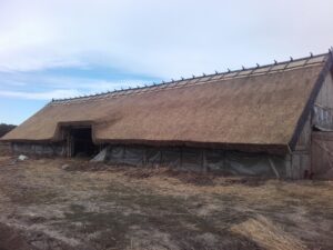 Állattartó gazdasági épület nádtetővel, hosszú élettartamú természetes fedéssel