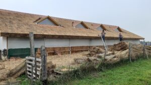 Gazdasági épületek nádtető fedése