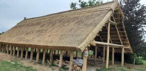 Hodály és istálló nádtető fedéssel, nagy alapterületű gazdasági épület