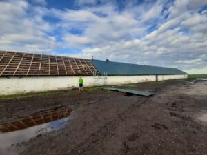 Istálló nádtetőjének lemezborítása bontás nélkül