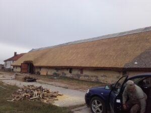 Istálló nagy tetőfelülettel, hagyományos nádtető fedéssel