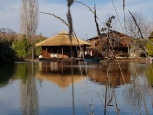 Nádtetős hűsölő és pavilon filagória jellegű kialakítással