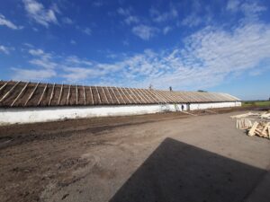 Régi hodály nádtetőjére épített költséghatékony lemezfedés