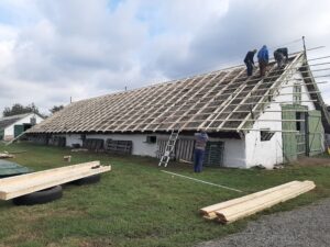 Állattartó telep nádtetőjére szerelt lemezfedés