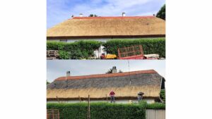 Felújított nádtető ráborítással, egységes és vastag nádréteggel